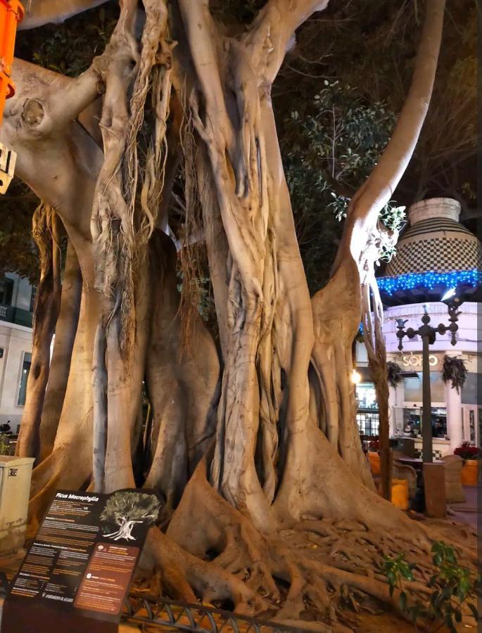 City Center Alicante - Santa Lucia - 2 Екстериор снимка